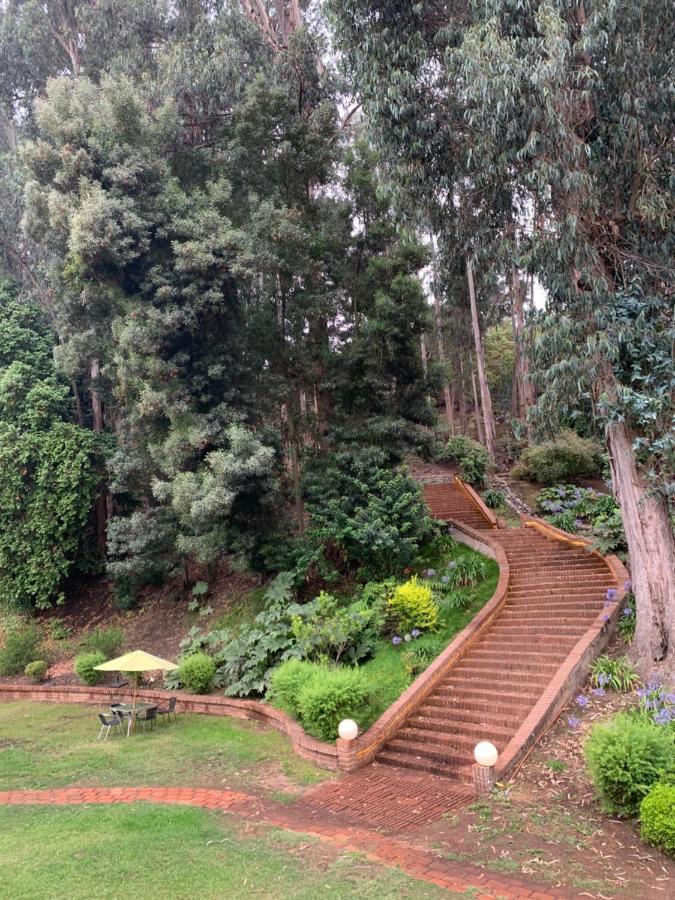 Hotel Bosque de Reñaca Viña del Mar Exterior foto