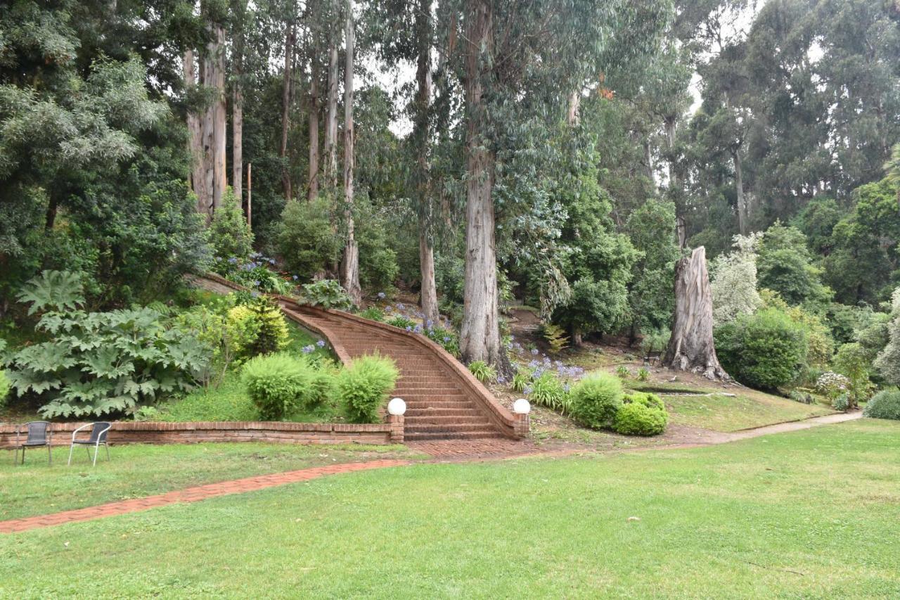 Hotel Bosque de Reñaca Viña del Mar Exterior foto